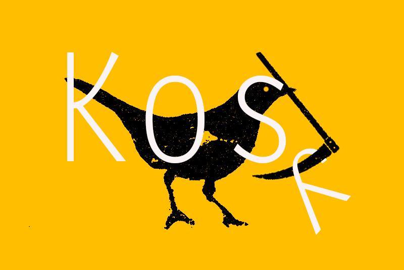 Kosy logo